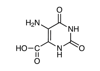 5-aminoorotic acid, 99%