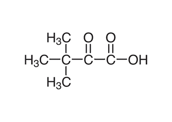 3,3-dimethyl-2-oxobutyric acid, 98%