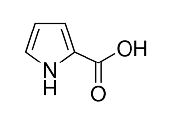 pyrrole-2-carboxylic acid, 97%