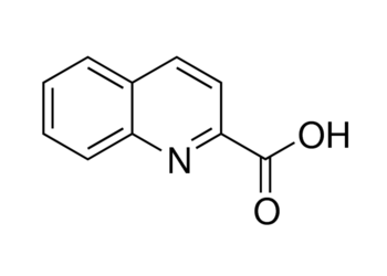 quinaldic acid, gr 98%+