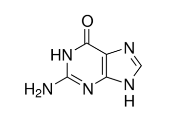 guanine, 98%