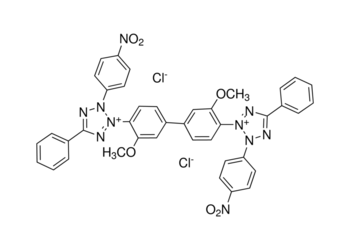 nitro blue tetrazolium tablet