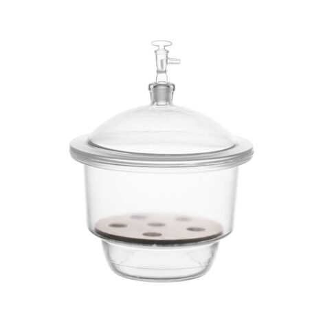 dessicator, vacuum neutral glass with porcelain plate